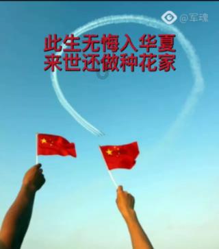 哈尼和她的宠物们