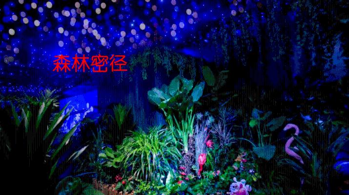 迷雾求生